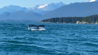 Juneau, Mendenhall Glacier Waterfall & Whale Watching Tour - Housity