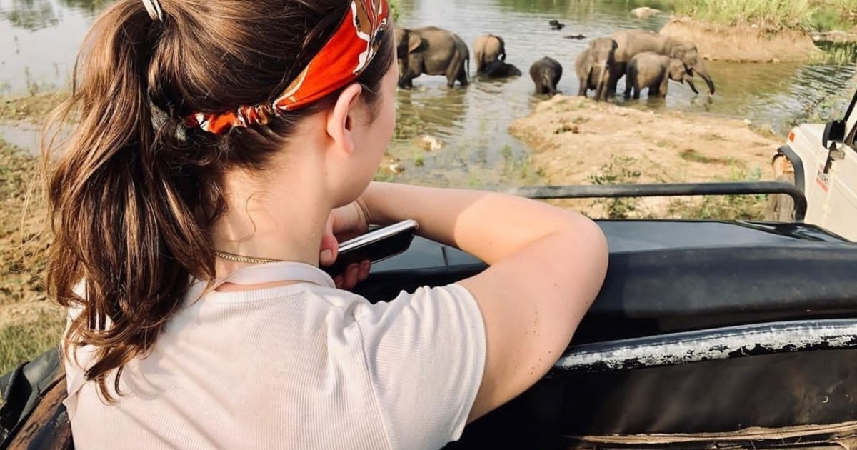 Minneriya National Park Jeep Safari GetYourGuide