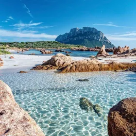 Sardegna/Olbia: Tauchen im Tavolara Meerespark