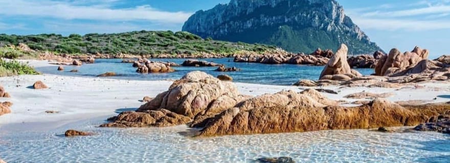 Olbia : Plongée dans le parc marin de Tavolara en Sardaigne