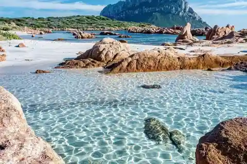 Olbia: Nurkowanie w Parku Morskim Tavolara na Sardynii