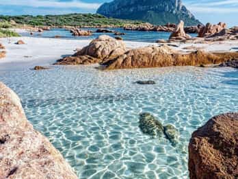 Olbia: Immersioni nel Parco Marino di Tavolara in Sardegna