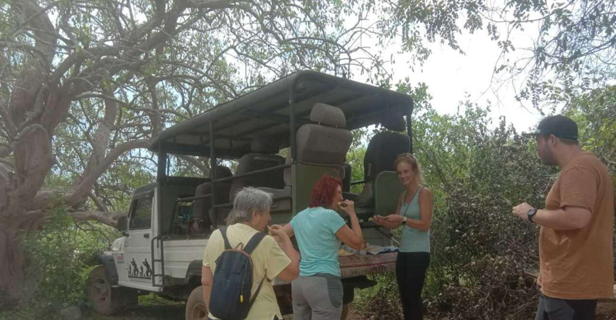 Yala National Park Ganztägige Safari - Hizvo