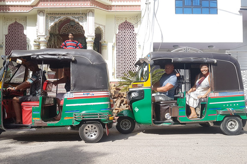 Joyful Private Full Day Tour of Pink City Jaipur By Tuktuk