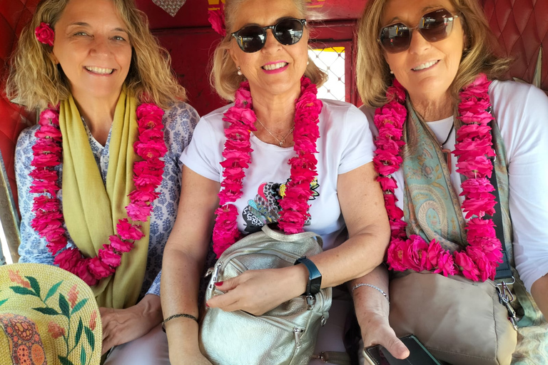 Joyful Private Full Day Tour of Pink City Jaipur By Tuktuk