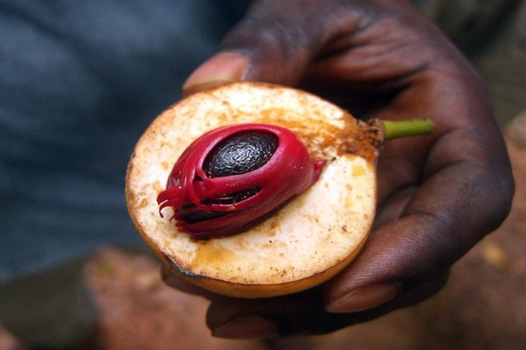 Zanzibar: Spice Tours till fots med guideMed upphämtning från Stone Town Hotel Vs Tysk guide