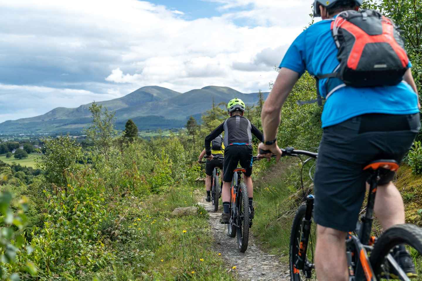 Castlewellan Mountain Bike Rental