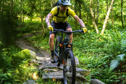 Da Belfast: Esperienza in mountain bike