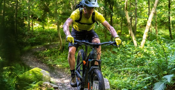 Pedal beyond Belfast: The Ultimate Mountain Bike Experience