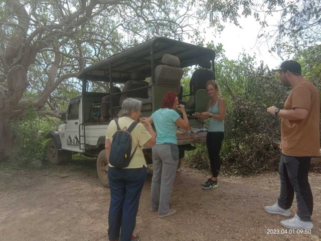 Visit Yala National Park Sharing Safari (5 Hours) in Yala National Park