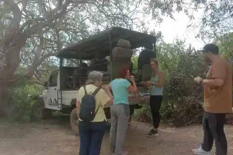 Yala National Park Sharing Safari (5 Hours)