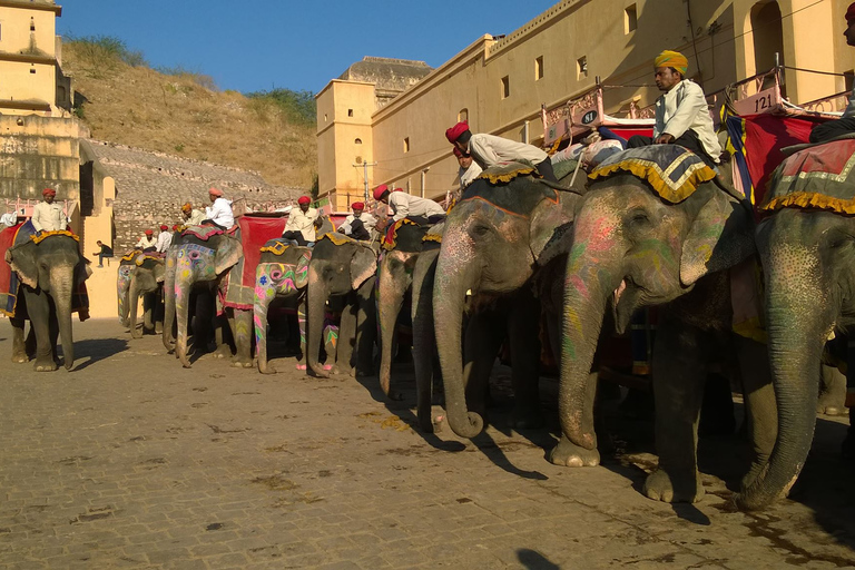 Tour privato di un giorno intero della città rosa di Jaipur con guida e pick-upTour in auto con autista e guida