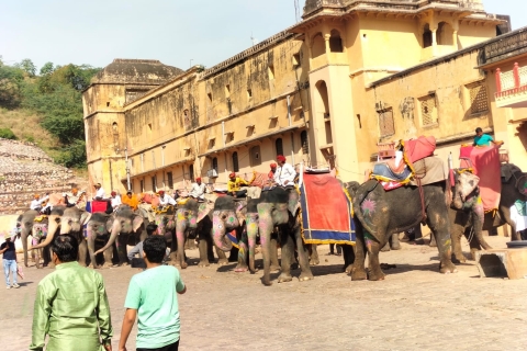 Herrliche private Ganztagestour durch die historische rosa Stadt Jaipur
