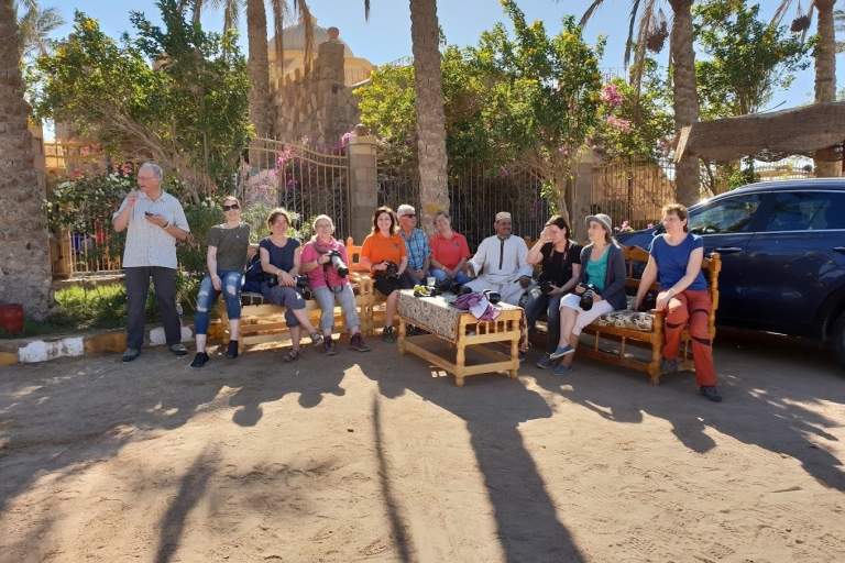 Hurghada: Sternenbeobachtung mit ATV, Kamel, Pferd, Dinner & Show
