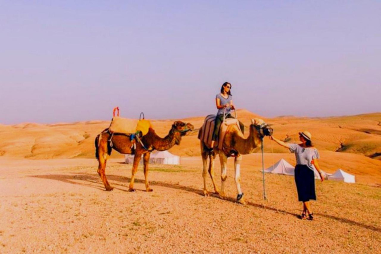 Marrakech: Deserto de Agafay, passeio de camelo e jantar berbere