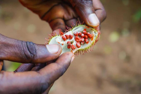 Zanzibar: Spice Tours till fots med guideMed upphämtning från Stone Town Hotel Vs Tysk guide