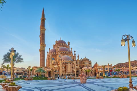 From Sharm: Private City Tour and Glass Boat with Transfers
