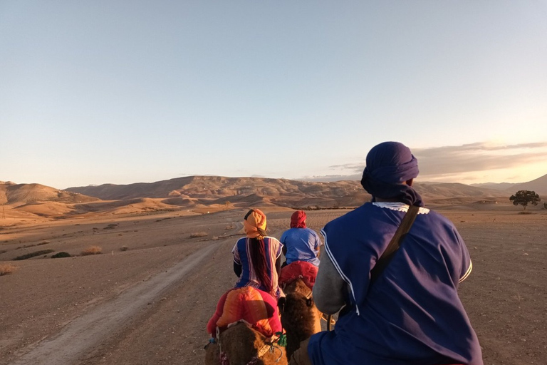 Montagnes de l'Atlas : Villages berbères, cascades et randonnées à dos de chameau