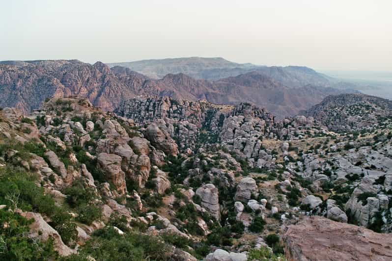 Riserva naturale di Dana e tour di un giorno al castello di Al-Karak