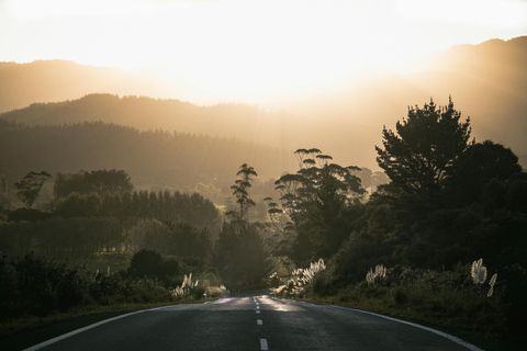 Piha Beach : Auckland halv dagsutflykt