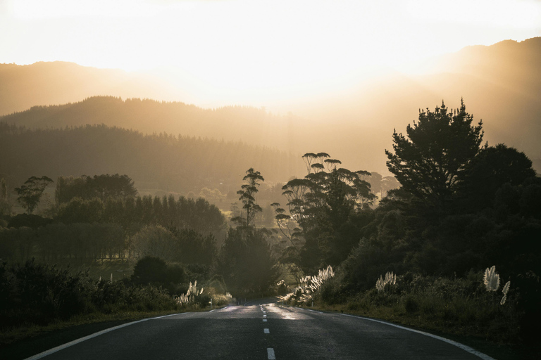 Plaża Piha: półdniowa wycieczka do Auckland