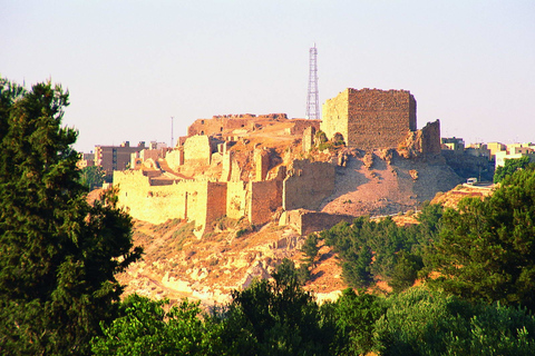 Excursion d'une journée à la réserve naturelle de Dana et au château d'Al-KarakExcursion d'une journée dans la réserve de Dana et au château d'Al-Karak