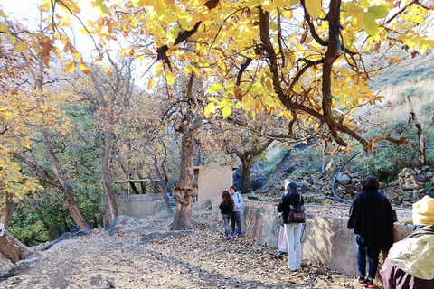 Marrakech ; randonnée dans les montagnes de l'Atlas à dos de chameau et au bord de l'eauExcursion d'une journée dans les montagnes de l'Atlas avec promenade à dos de chameau