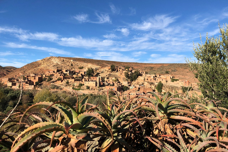 Marrakech ; randonnée dans les montagnes de l'Atlas à dos de chameau et au bord de l'eauExcursion d'une journée dans les montagnes de l'Atlas avec promenade à dos de chameau