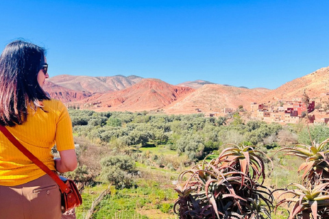 Marrakech ; randonnée dans les montagnes de l'Atlas à dos de chameau et au bord de l'eauExcursion d'une journée dans les montagnes de l'Atlas avec promenade à dos de chameau