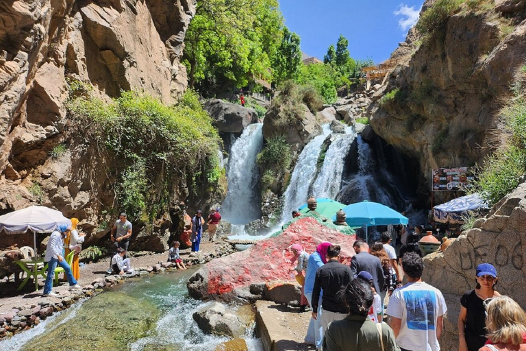 Marrakech ; randonnée dans les montagnes de l'Atlas à dos de chameau et au bord de l'eauExcursion d'une journée dans les montagnes de l'Atlas avec promenade à dos de chameau