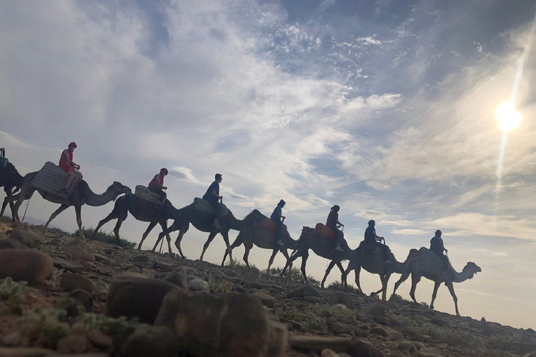 Marrakech ; randonnée dans les montagnes de l'Atlas à dos de chameau et au bord de l'eauExcursion d'une journée dans les montagnes de l'Atlas avec promenade à dos de chameau