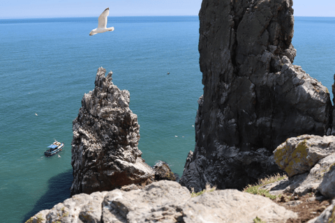 Dublin: Zatoka Dublińska i rejs wycieczkowy Ireland&#039;s Eye