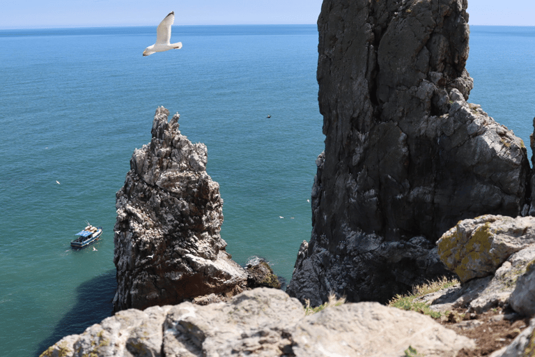 Dublin: Dublin Bay und Ireland&#039;s Eye Bootstour