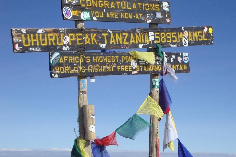 8 days Mount Kilimanjaro Climbing Through Lemosho route