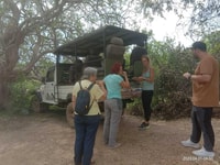 Safari du budget du parc national Yala - Hizvo