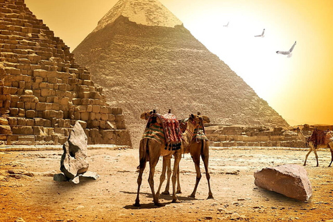 Pyramides, Sakkara et Memphis - Visite privée avec déjeunerVisite privée avec guide, transfert et déjeuner, à l&#039;exclusion des droits d&#039;entrée.