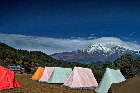 Depuis Pokhara : Randonnée guidée d'une journée de Dampus à Australian CampDepuis Pokhara : Randonnée d'une journée de Dampus à Australian Camp