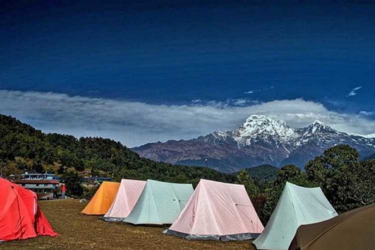 Depuis Pokhara : Randonnée guidée d'une journée de Dampus à Australian CampDepuis Pokhara : Randonnée d'une journée de Dampus à Australian Camp