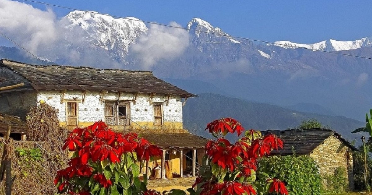 Pokhara: Guided Day Hike From Dampus To Australian Base Camp | GetYourGuide