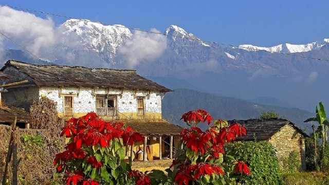 Visit Pokhara Guided Day Hike From Dampus To Australian Base Camp in Pokhara