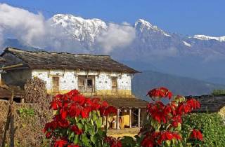 Pokhara: Geführte Tageswanderung von Dampus zum Australian Base Camp