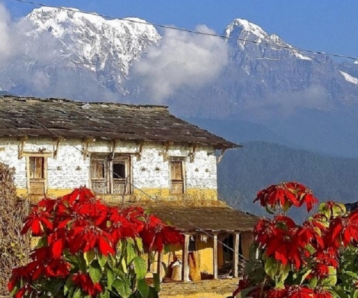Pokhara: Guided Day Hike From Dampus To Australian Base Camp