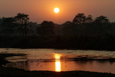 Katmandú: Paquete de 3 días de Safari por la Jungla de Chitwan