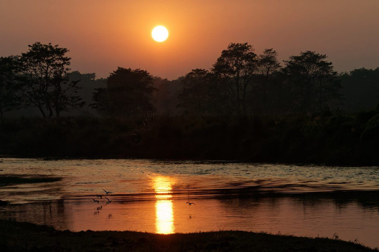 Katmandú: Paquete de 3 días de Safari por la Jungla de Chitwan