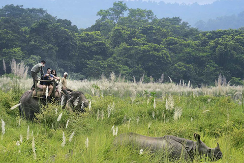 Kathmandu: 3-daags Chitwan Jungle Safari Tour-pakket