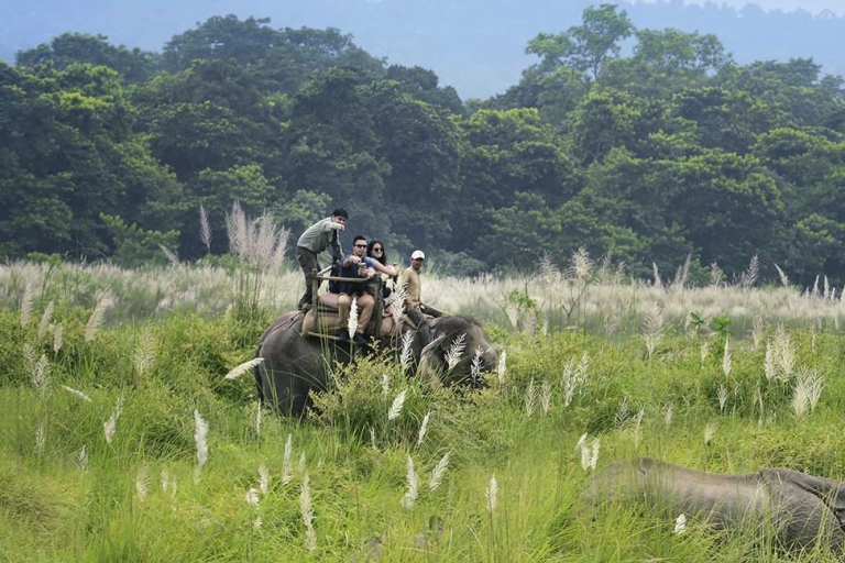 Kathmandu: 3-daags Chitwan Jungle Safari Tour-pakket