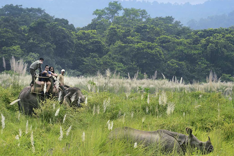 Kathmandu: 3-daags Chitwan Jungle Safari Tour-pakket