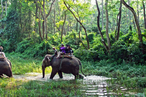 Kathmandu: 3-daags Chitwan Jungle Safari Tour-pakket