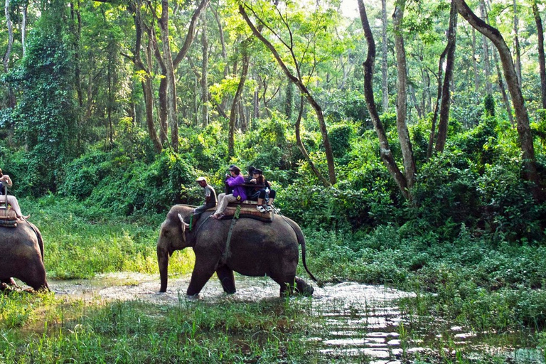 Katmandú: Paquete de 3 días de Safari por la Jungla de Chitwan