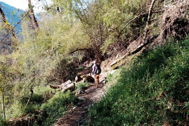 1 noc 2 dni Trekking nad jeziorem lodowcowym Kapuche z Pokhary